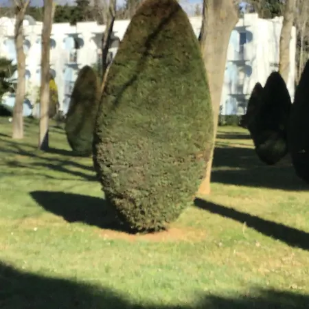 T3 Les Peupliers Proche Pasino Et Apartman La Grande-Motte